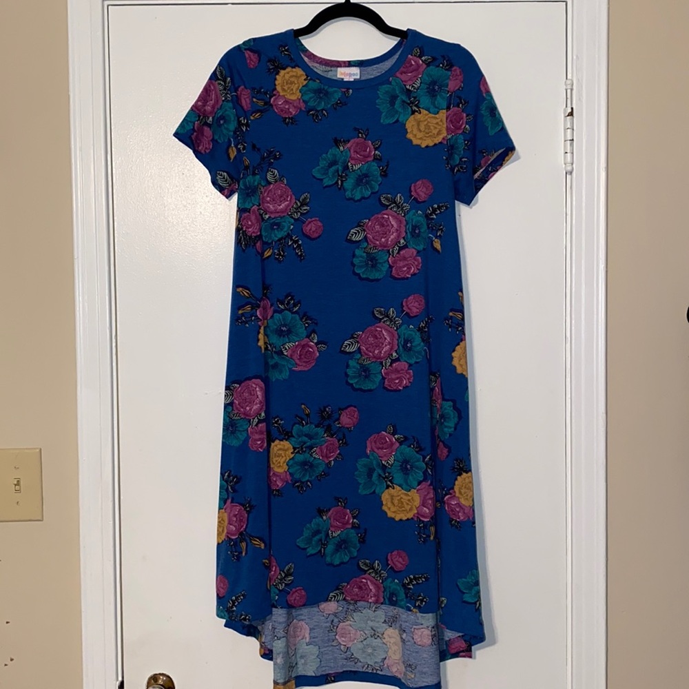 LulaRoe Multicolor Floral Dress